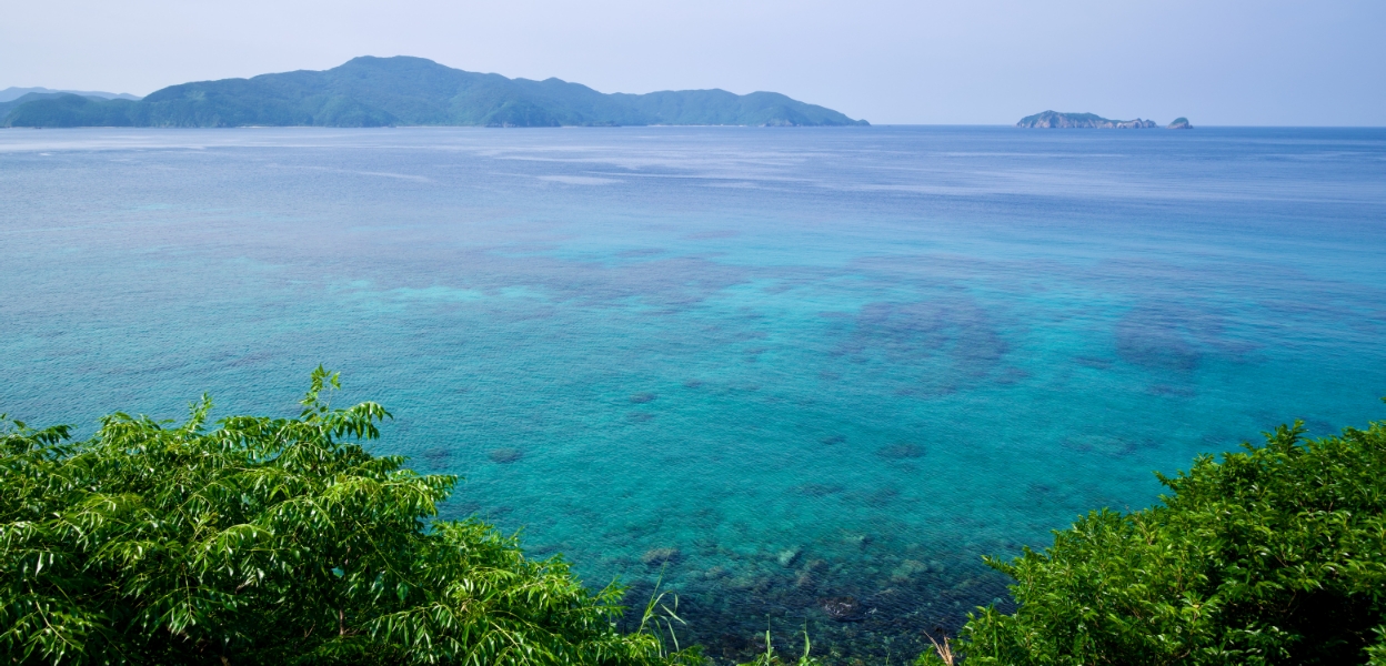 耕作放棄地の減少