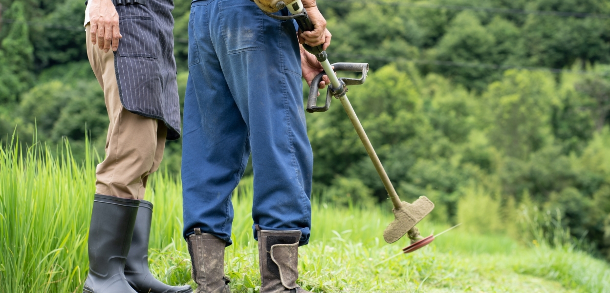 地域雇用の創出