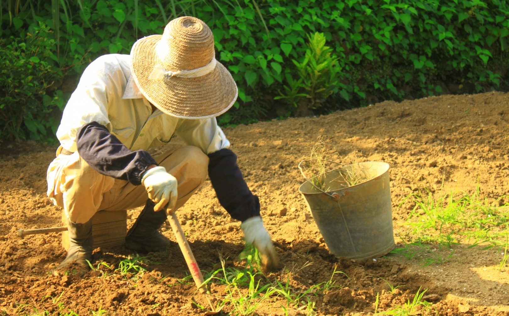 奄美の未来に貢献